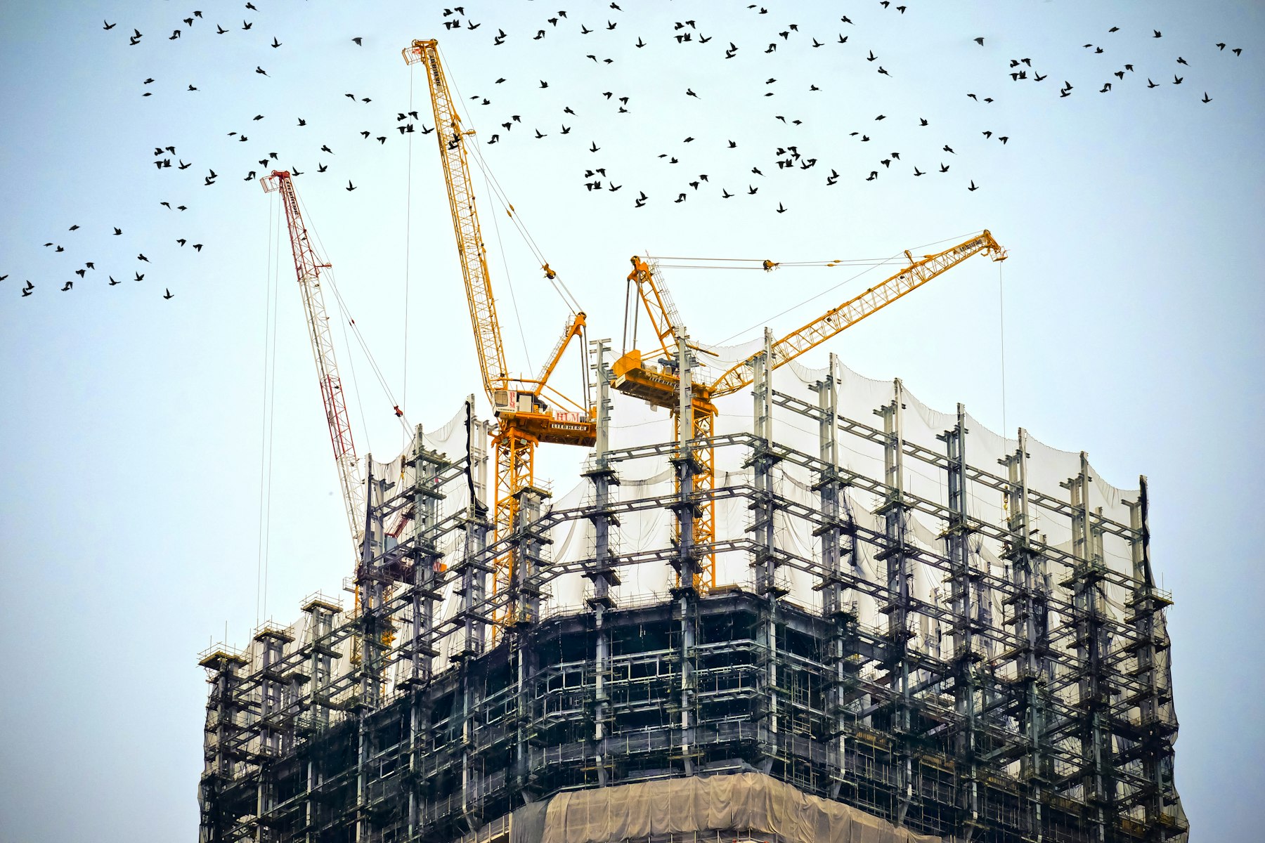 Elegant construction crane silhouette over a modern building site, representing Lumara's building materials supply